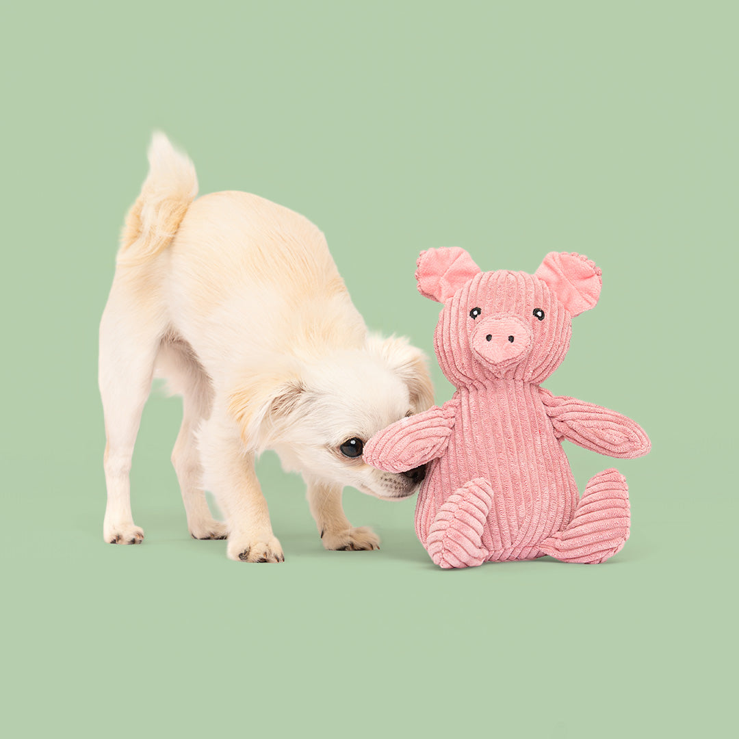 7" Corduroy Farm w/ Squeaker, Grunter & Crinkle - 2 Pack
