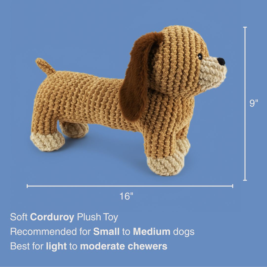 13" Dash Dachshund w/ Squeaker & Crinkle plush dog toy with soft fabric, designed for gentle play and cuddling