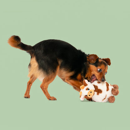8" Carter Cow w/ Squeaker Ball & Crinkle