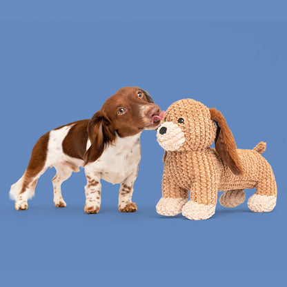 13" Dash Dachshund w/ Squeaker & Crinkle