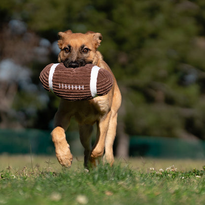 9" Corduroy Football W/ Squeaker