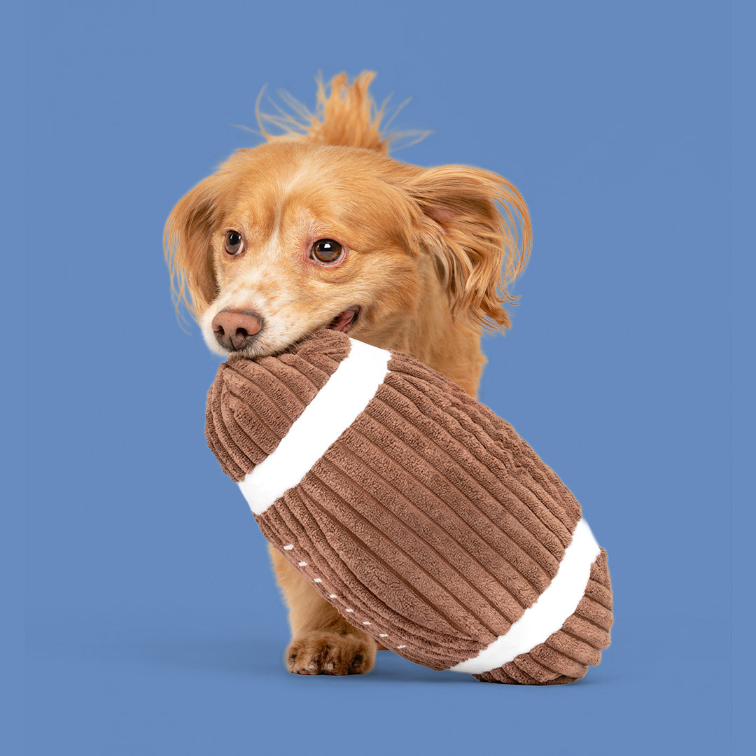 9" Corduroy Football W/ Squeaker
