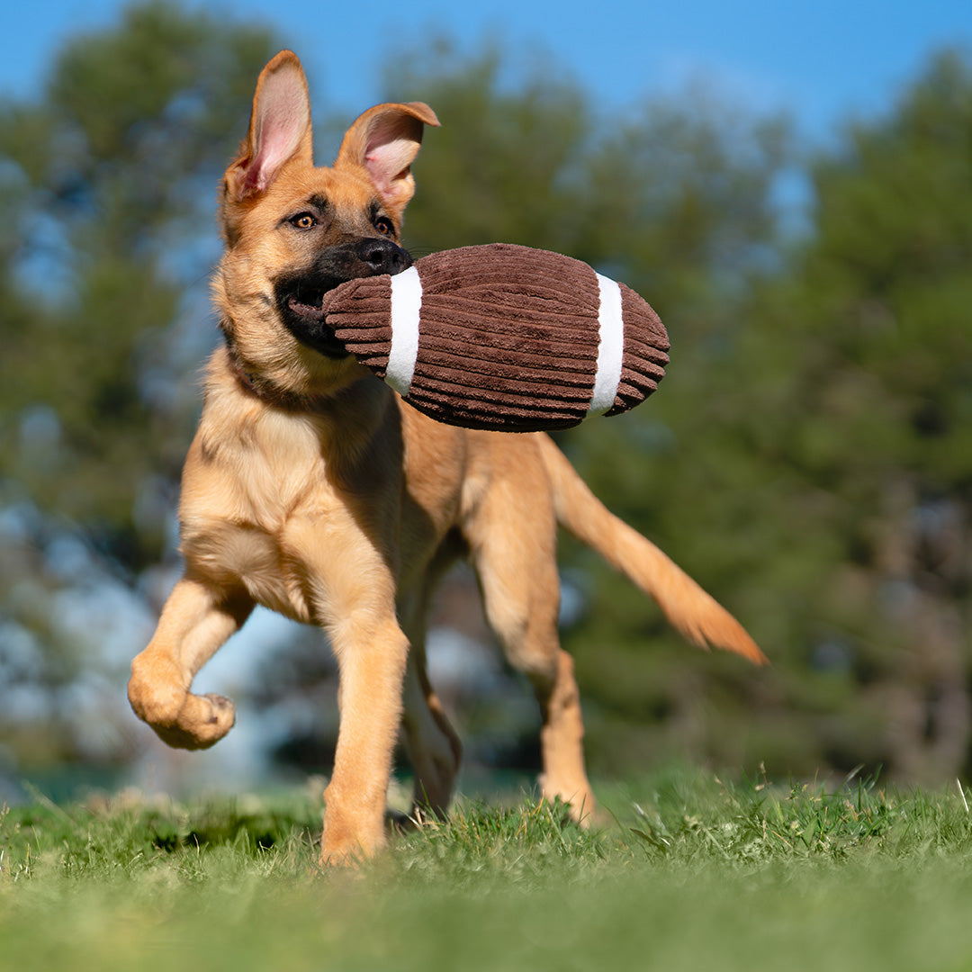 9" Corduroy Football W/ Squeaker