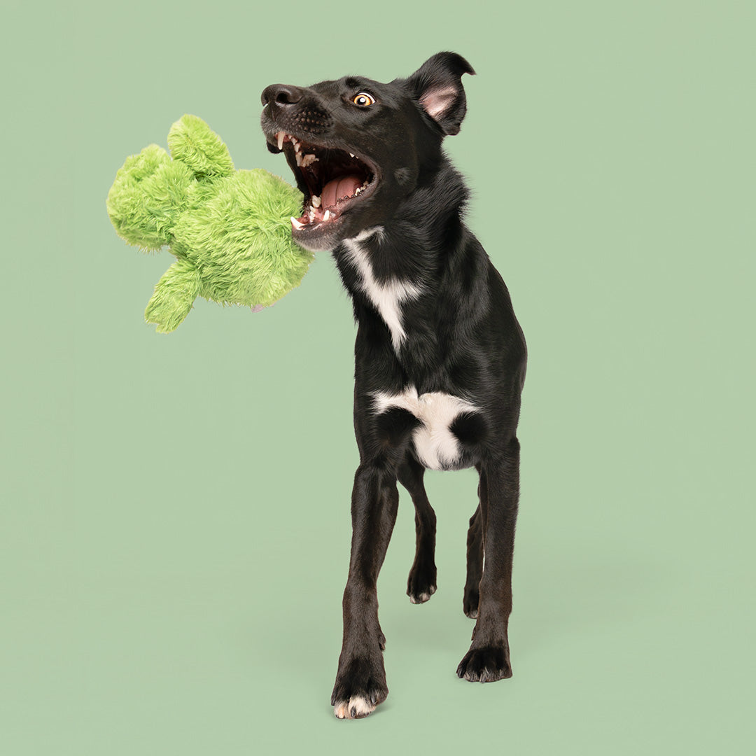 7" Leaping Lee w/ Squeaker Ball