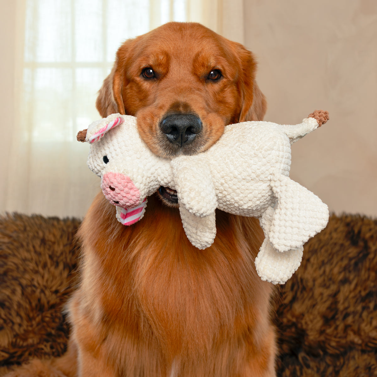 9" Sitting Corduroy Cow w/ Squeaker & Crinkle