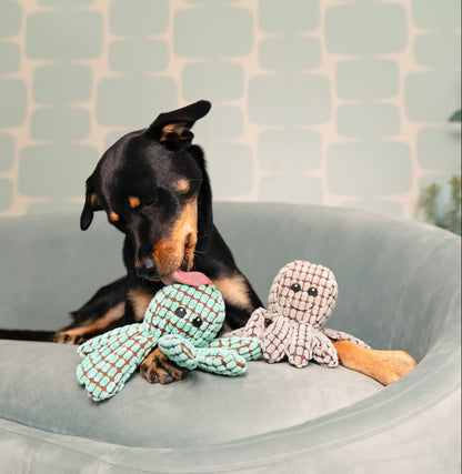 9" Ogi the Octopus w/ Squeaker & Crinkle - 2 Asst