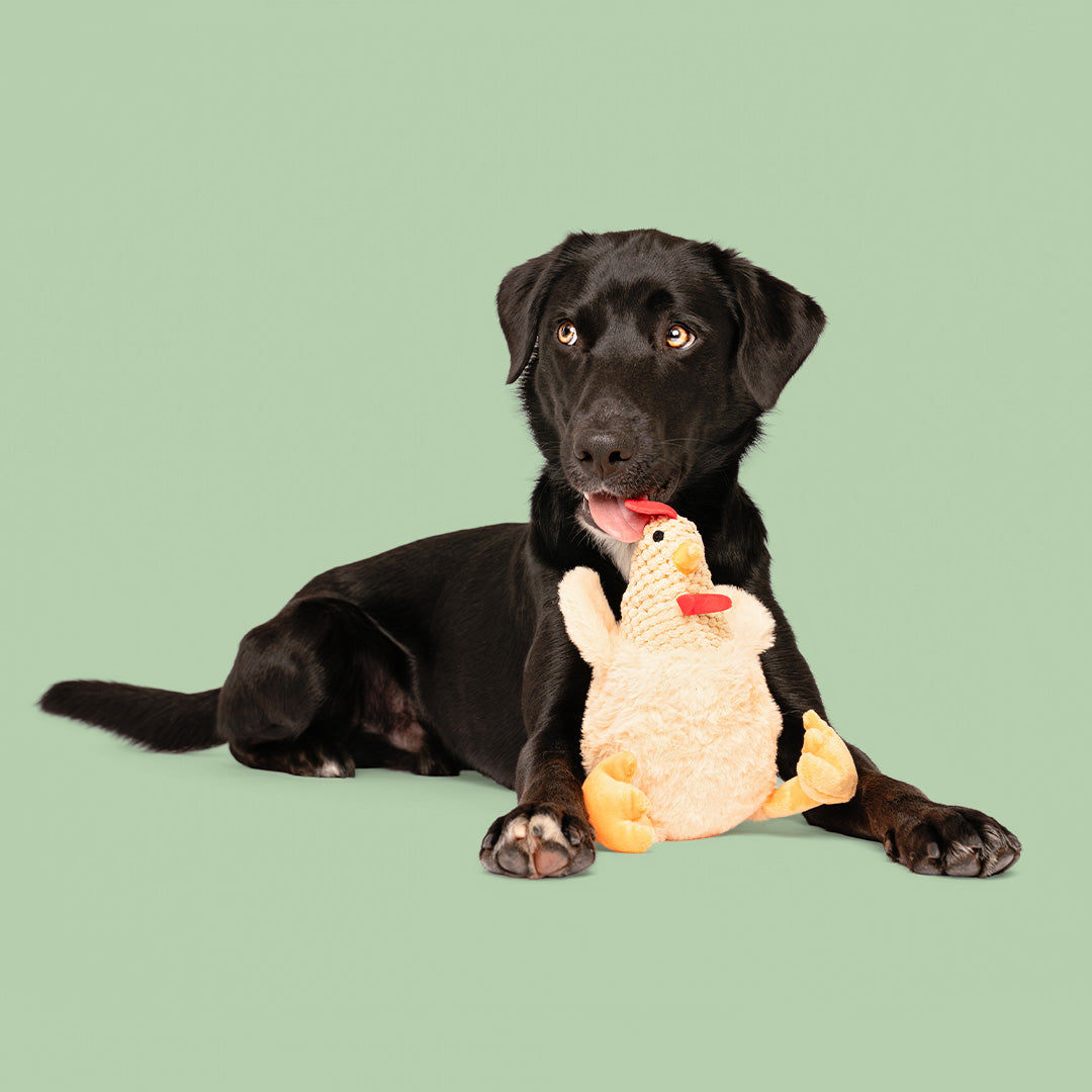 8" Rudy Rooster w/ Squeaker Ball & Crinkle - Tan